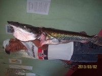 /album/galeria-de-fotos/rosy-329-jpg/